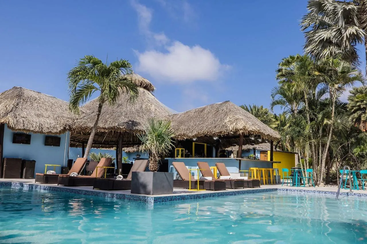Perle D'Or Aruba Hotel Palm Beach