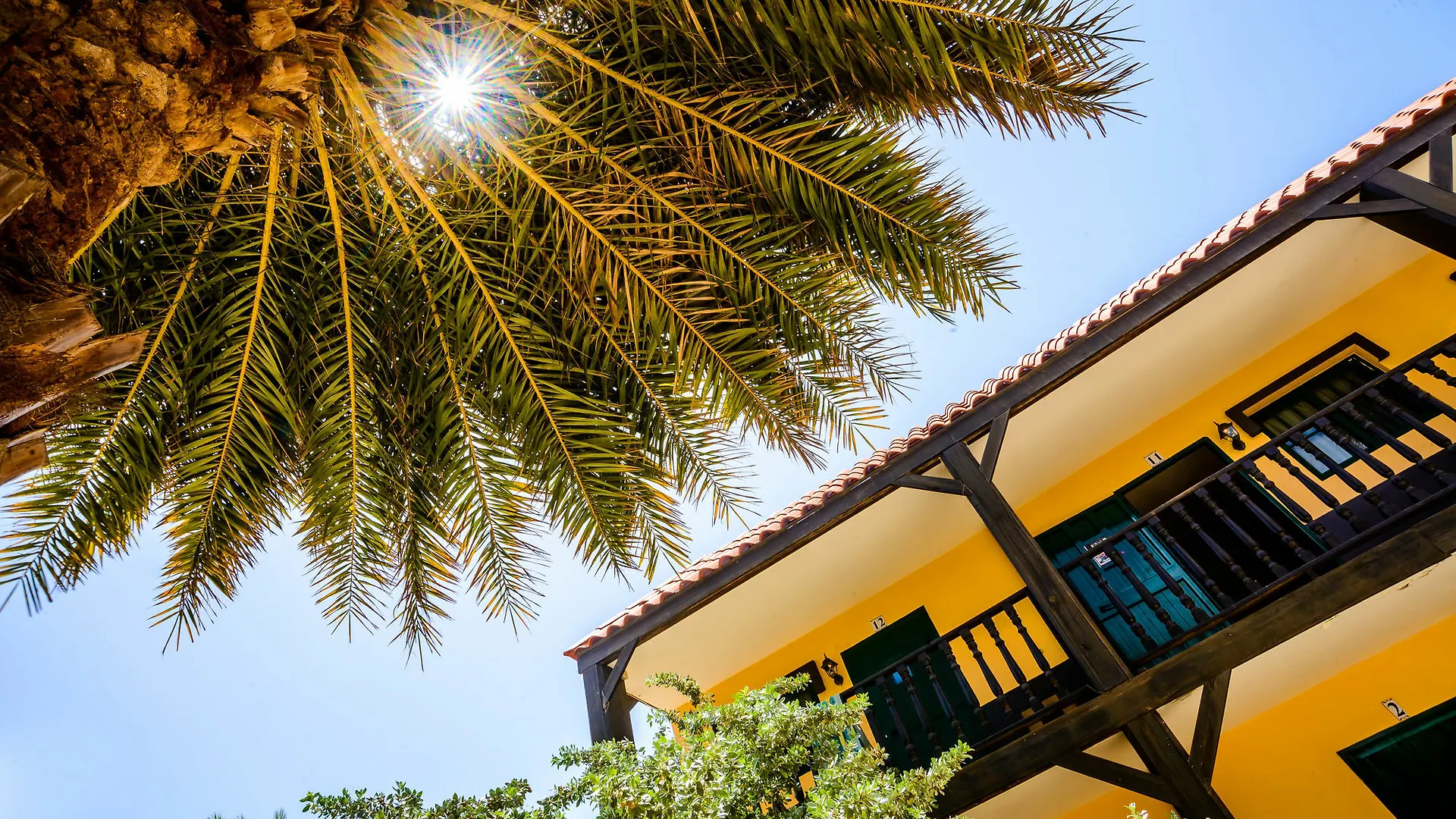 Perle D'Or Aruba Hotel Palm Beach