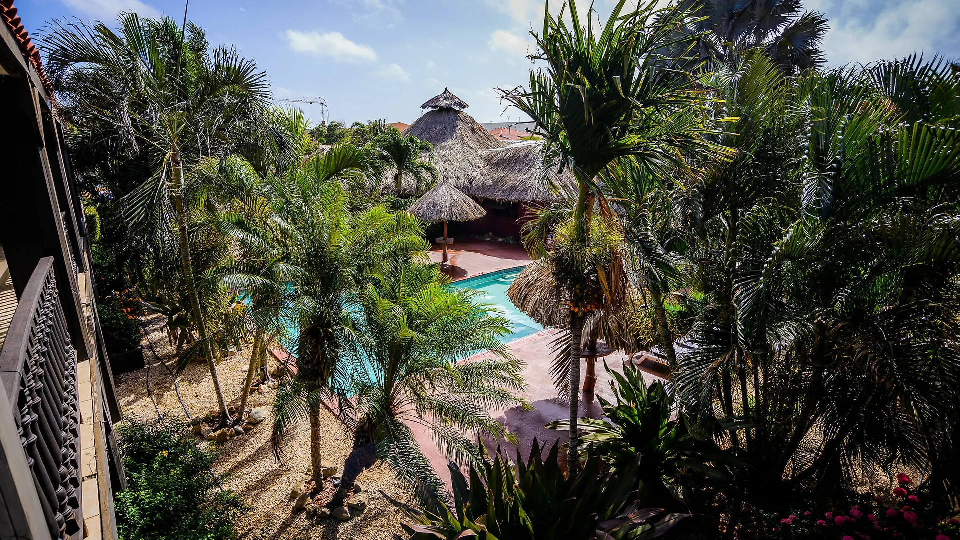 Perle D'Or Aruba Hotel Palm Beach